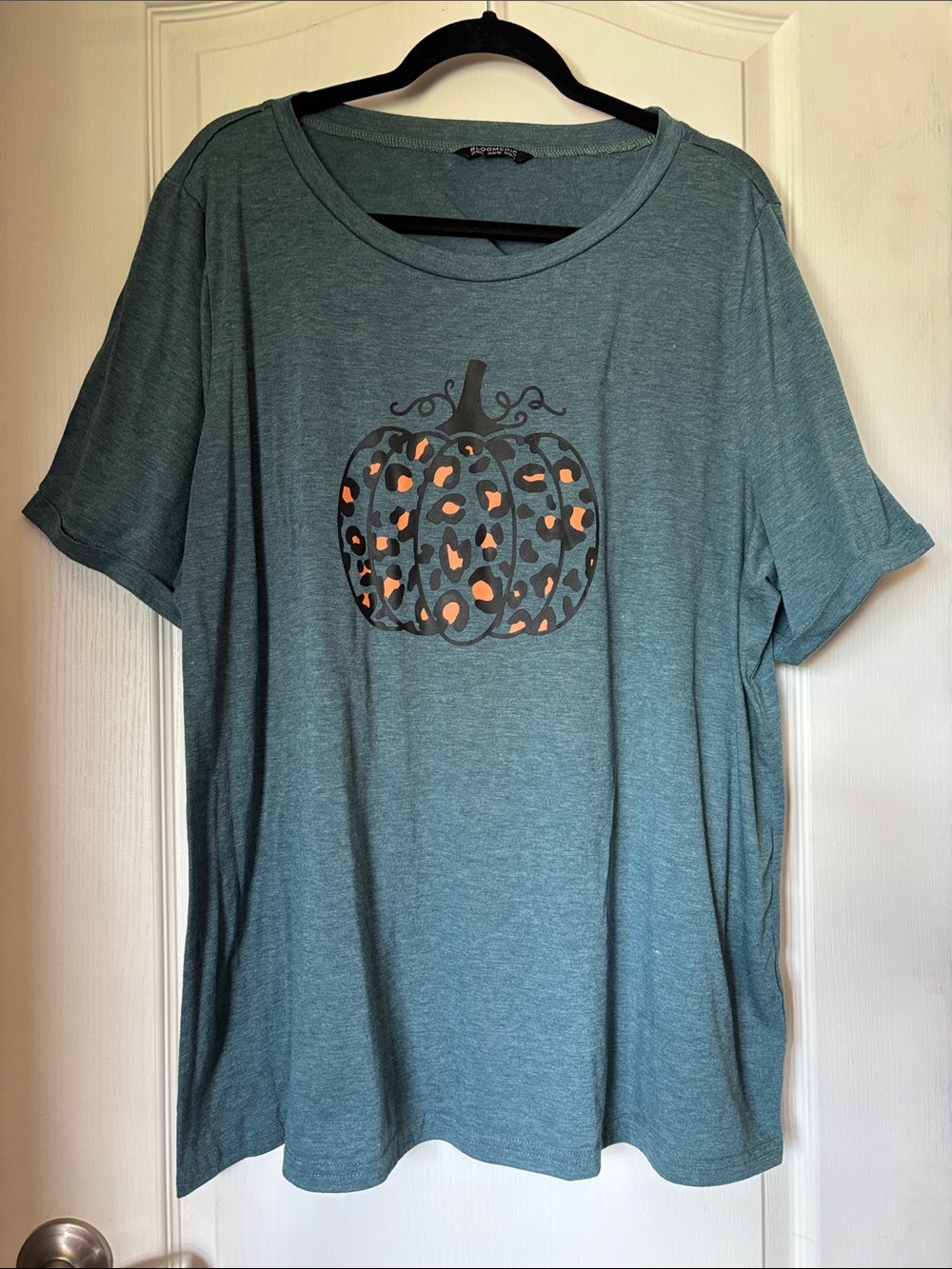 BloomChic Teal-Green Short Sleeve Knit Top Size 22-24